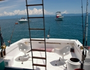 Fishing Gulf of Mexico, Cape Coral